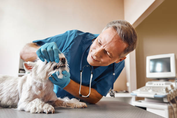 Best Emergency Tooth Extraction in Gordonsville, VA